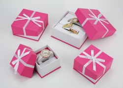 WATCH BOX