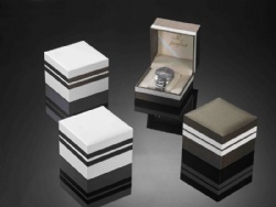 Watch Box